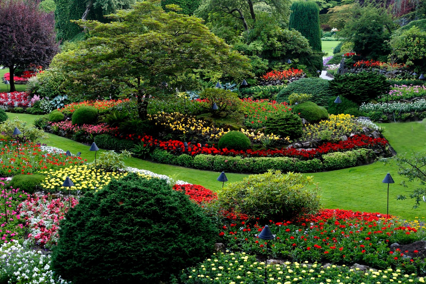 5 Landscaping Ideas for a Stunning Property